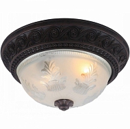 Потолочный светильник Arte Lamp Piatti A8006PL-2CK