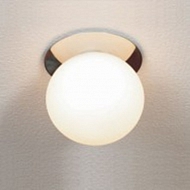 Потолочный светильник Lussole VITERBO LSQ-9700-01